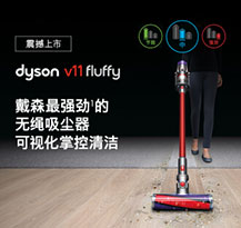 戴森吸尘器 V11 FLUFFY